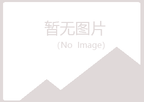 夏邑县如波化学有限公司